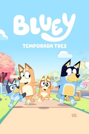 Bluey temporada  3 online