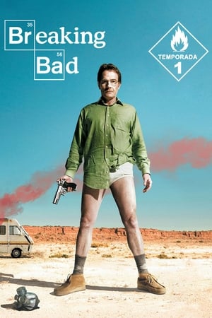 Breaking Bad Temporada 1 online gratis