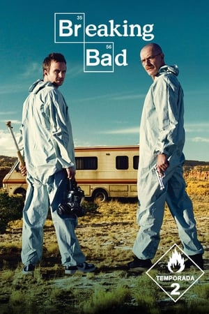 Breaking Bad T 2 C 6 online gratis