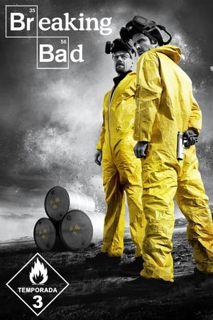 Breaking Bad T 3 C 4 online gratis