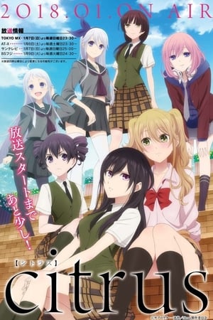 Citrus Temporada 1 online gratis