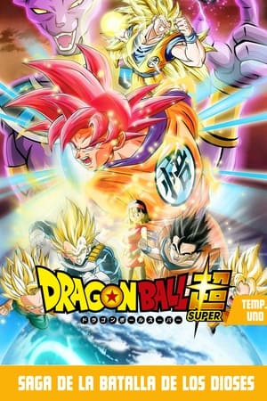 Dragon Ball Super temporada  1 online