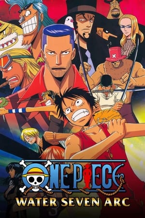 One Piece temporada  8 online